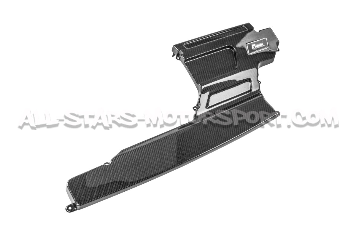 Tapa de carbono para admision Racingline R600 Evo