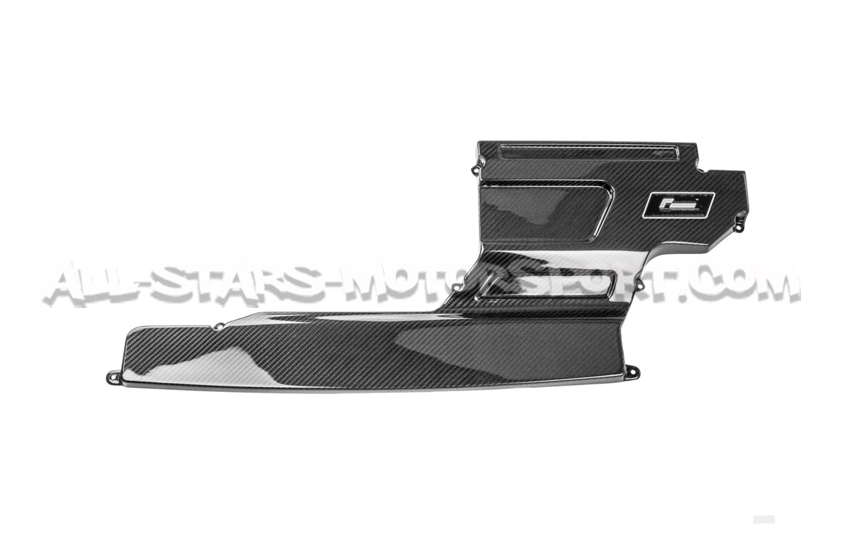 Racingline R600 Evo Intake Carbon Lid Upgrade