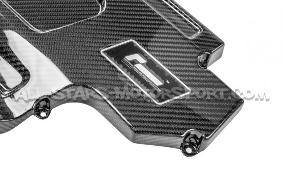 Tapa de carbono para admision Racingline R600 Evo