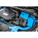 Focus 2 RS and Focus 3 RS / ST ITG Profilter Panel Air filter