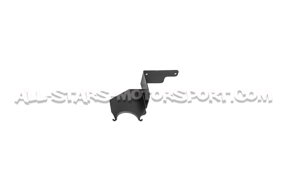 Polo AW GTI Racingline Carbon Fiber Air Intake