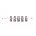 Bougies NGK SILFER8C7ES pour Audi RS3 8.5V / 8Y et TTRS 8S