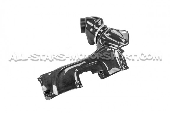 Audi RS3 8V.5 Gruppe M Carbon Fiber Intake System