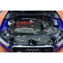 Admission carbone Gruppe M pour Audi RS3 8V.5