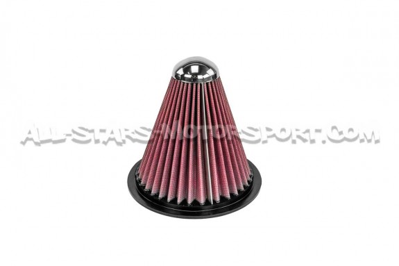 Admision de carbono Gruppe M para Audi TTRS 8S