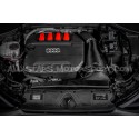 Admision de carbono Eventuri para Audi S3 8Y