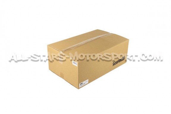 Admision de carbono Gruppe M para Mercedes Benz C63 AMG W204