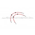 Flexibles de frein aviation Goodridge pour Mercedes AMG GT / GTC / ...