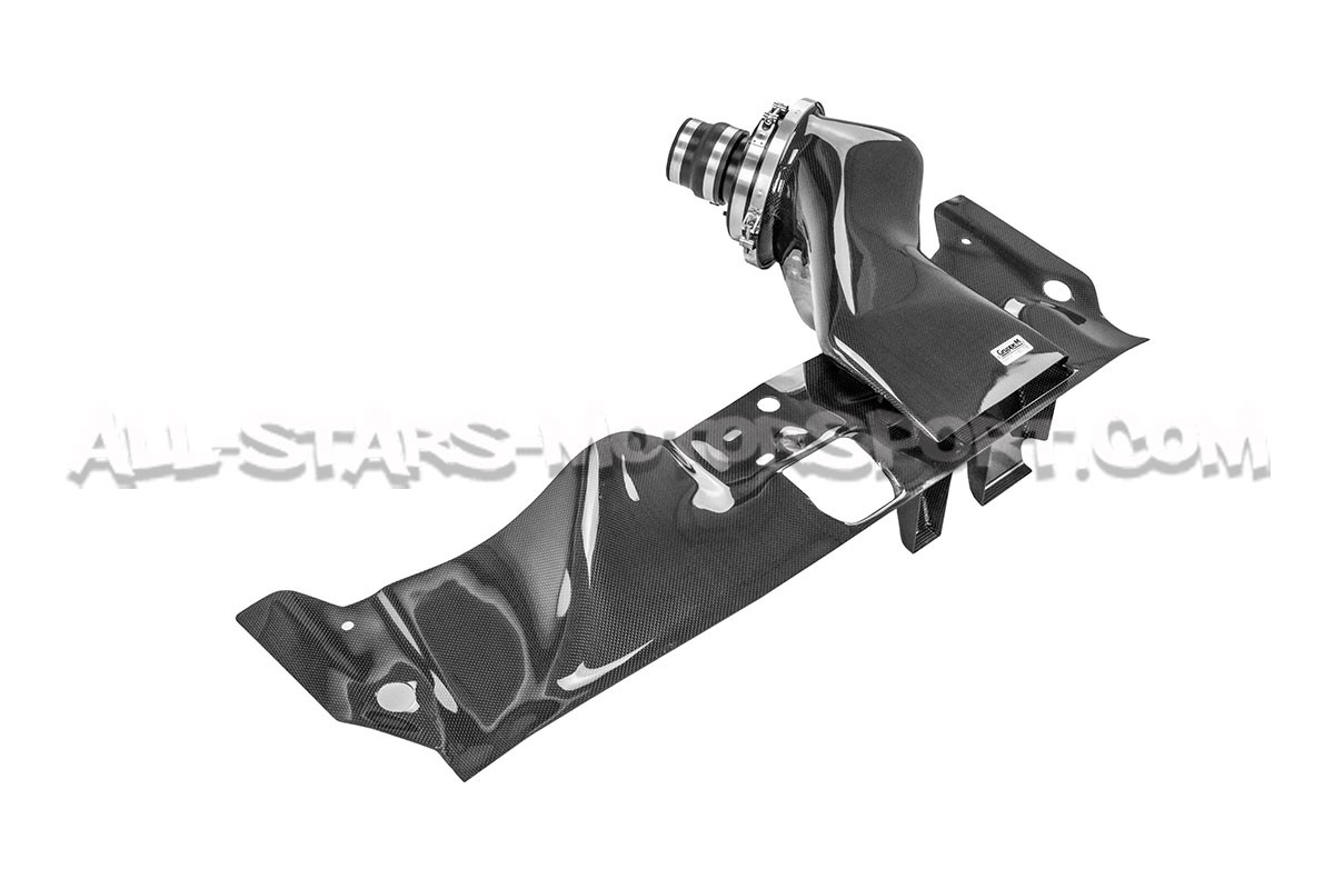 Mitsubishi Lancer Evo 10 Gruppe M Carbon Fiber Intake System